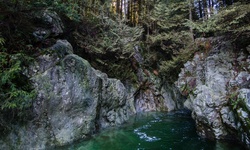 Real image from 30 Foot Pool  (Lynn Canyon Park)