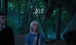 Movie image from Forbidden Forest