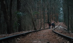 Movie image from Parque de Stone Mountain