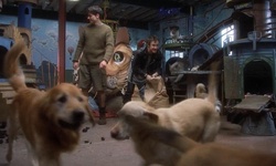 Movie image from Second Chance Animal Shelter