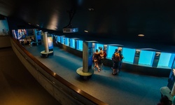 Real image from Vancouver Aquarium  (Stanley Park)