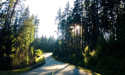 Real image from Tum Tumay Whueton Drive  (Belcarra Regional Park)