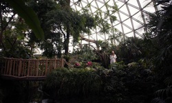 Movie image from Bloedel Conservatory  (Queen Elizabeth Park)