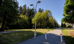 Real image from Parc central de Burnaby
