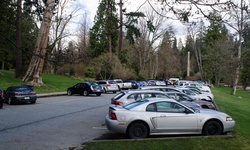 Real image from Yacht Club Parking Lot  (Stanley Park)
