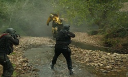 Movie image from Training Forest