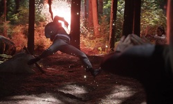 Movie image from Trilha Thompson (Stanley Park)