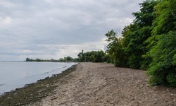 Real image from Marie Curtis Park