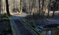 Real image from Upper Coquitlam River Park