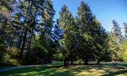 Real image from Burnaby Central Park