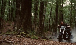 Movie image from Caça pela floresta