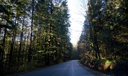 Real image from Tum Tumay Whueton Drive  (Belcarra Regional Park)