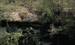 Movie image from Sacred Cenote