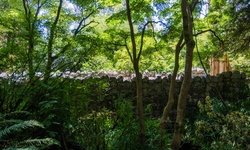 Real image from Former Vancouver Zoo  (Stanley Park)