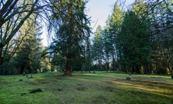 Real image from North Vancouver Cemetery