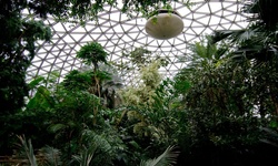 Real image from Bloedel Conservatory  (Queen Elizabeth Park)