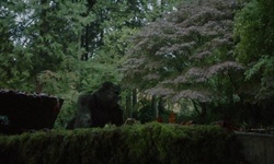 Movie image from Former Vancouver Zoo  (Stanley Park)