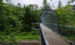 Real image from Parc marin de Barnet