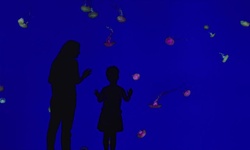 Movie image from Ripley's Aquarium of Canada