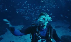 Movie image from Georgia Aquarium