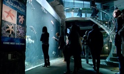 Movie image from Vancouver Aquarium  (Stanley Park)
