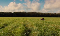 Movie image from Minsk Airfield