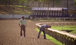 Movie image from Hastings Racecourse  (PNE)