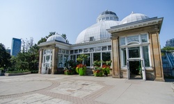 Real image from Allan Gardens