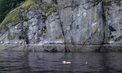 Movie image from Indian Arm, Burrard Inlet