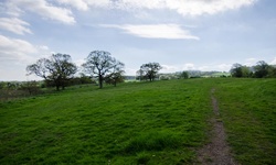 Real image from Muiravonside Country Park