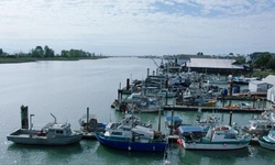 Movie image from Steveston Harbour