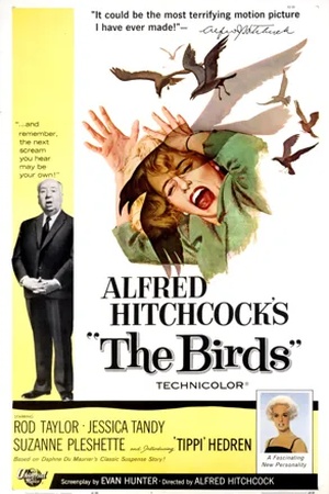 Poster The Birds 1963