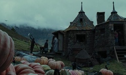 Movie image from Hagrid's Hut