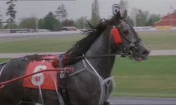 Movie image from Horse Racing Track