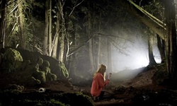 Movie image from Puzzlewood