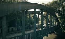 Movie image from Wiley Bridge