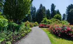 Real image from Pavilion Rose Garden  (Stanley Park)