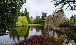 Real image from VanDusen Botanical Garden