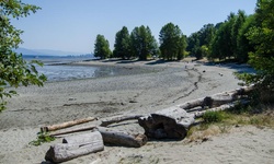 Real image from Spanish Banks Dog Beach