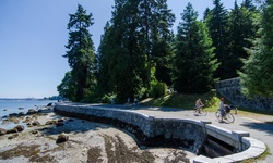 Real image from Ravine Trail  (Stanley Park)