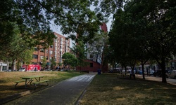 Real image from Berczy Park