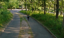 Movie image from Hillside Gardens  (High Park)