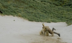 Movie image from Praia de Portstewart