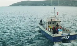 Movie image from Морская прогулка на яхте
