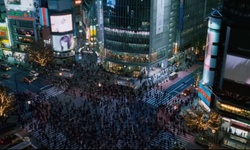 Movie image from Shibuya Crossing