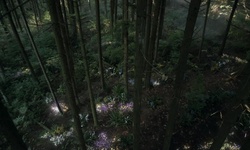 Movie image from Thompson Trail  (Stanley Park)