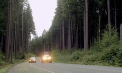 Movie image from Tum Tumay Whueton Drive  (Belcarra Regional Park)