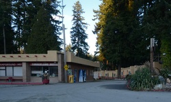 Real image from Timberland Motel & Campground