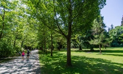 Real image from Woods near Aquarium  (Stanley Park)