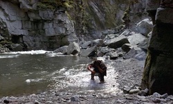 Movie image from Chapman Gorge